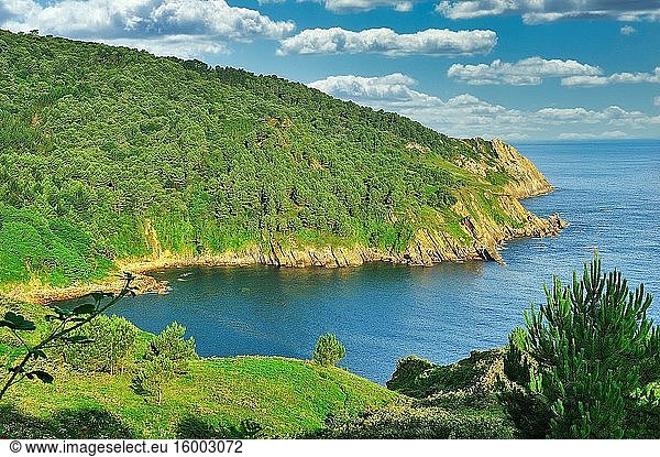 The Basque coast. Pasai Donibane (Pasajes de San Juan) town  Guipuzcoa province  Spain