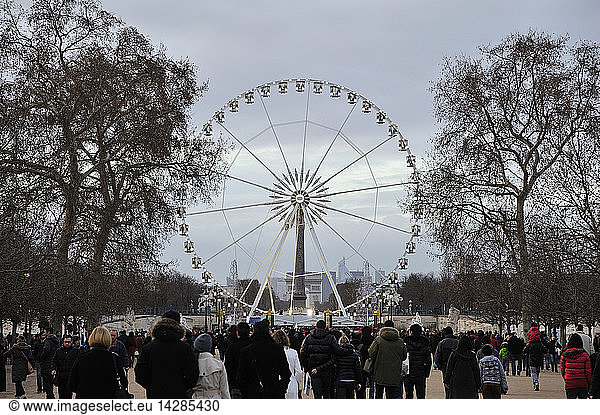 The big Wheel in Place de la Concorde in Christmas time  Paris  France  Europe