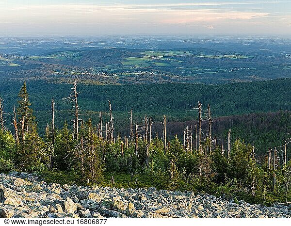 The blockfield of Mt. Lusen. View from the peak of Mt. Lusen in the National Park Bavarian Forest (NP Bayerischer Wald). Europe  Germany  Bavaria.