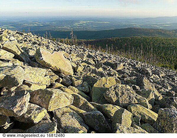 The blockfield of Mt. Lusen. View from the peak of Mt. Lusen in the National Park Bavarian Forest (NP Bayerischer Wald). Europe  Germany  Bavaria.