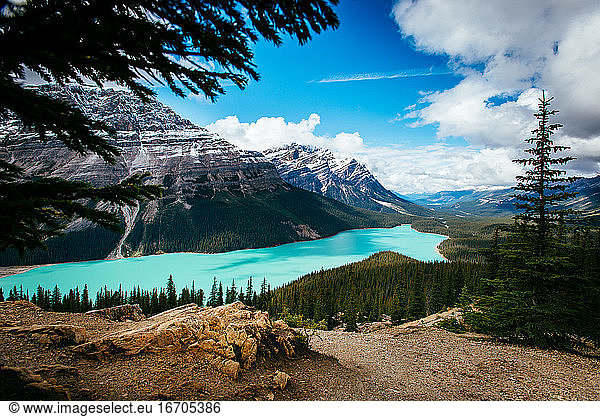 The blueish green water of Peyto Lake in Banff National Park