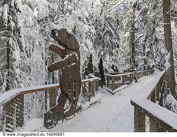 The Canopy Walkway (Baumwipfelpfad) of the visitor center of the National Park Bavarian Forest (Bayerischer Wald) in Neuschoenau in the deep of winter. Wood carvings of typpical wildlife. Europe  Germany  Bavaria  January