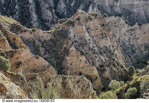 The Canyons of Uceda in the Sierra Norte. Guadalajara. Spain. Europe.