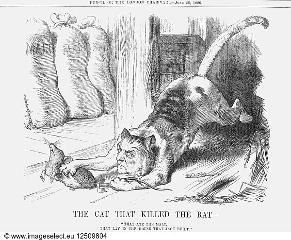 The Cat that Killed the Rat  1880. Artist: Joseph Swain