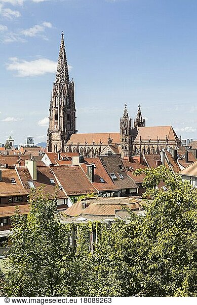 The cathedral and the roofs of the old town  Freiburg im Breisgau  Baden-Württemberg  Germany  Europe