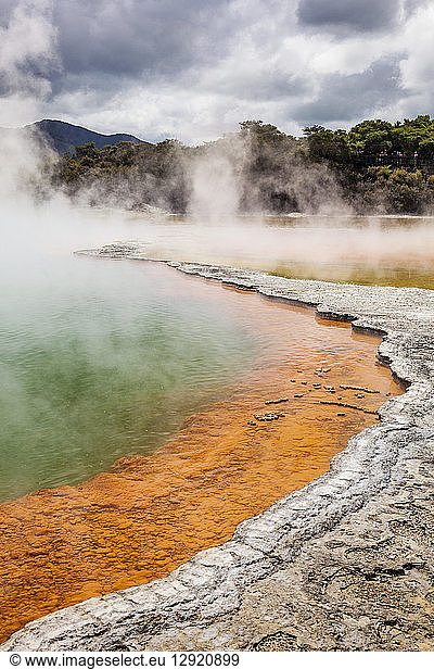 The Champagne pool  Wai-o-tapu Thermal Wonderland  geothermal area  Waiotapu  Rotorua  North Island  New Zealand  Pacific