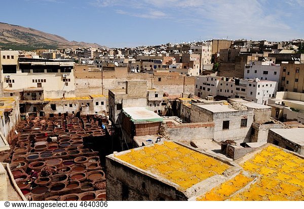 The Chouwara Tannery Fez Morocco North Africa