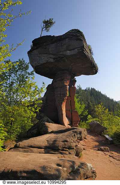 The Devil's Table Rock Formation  Teufelstisch  Hinterweidenthal  Pfaelzerwald  Rhineland-Palatinate  Germany