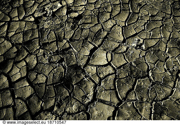 The dry soil of Palmyra desert  Syria.