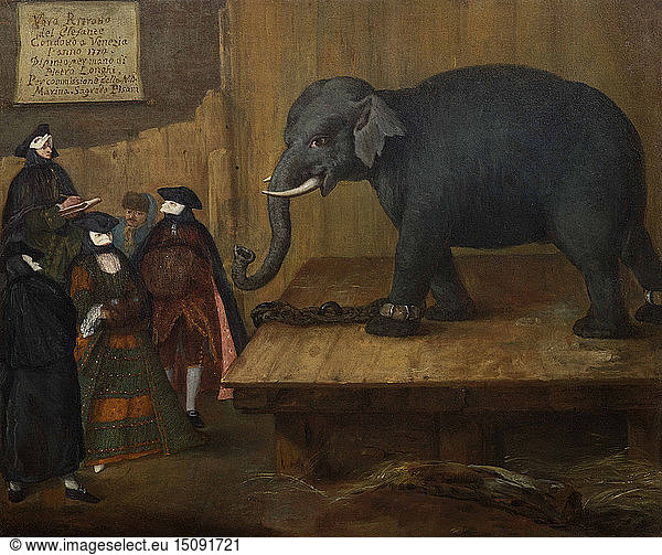 The Elephant  1774.