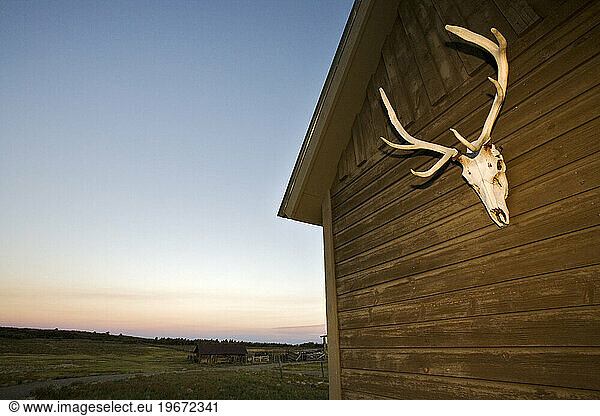 The exterior of ranch house and antlers at dusk on the Uncompahgre plateau  Colorado.