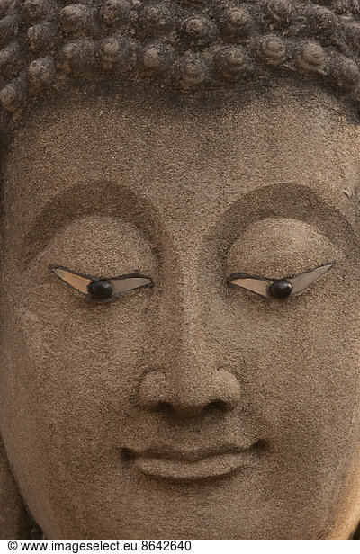 The face of a statue of the Buddha in Ayutthaya Historical Park  Thailand