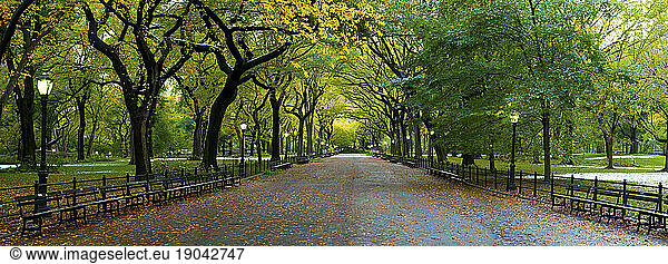 The famous Mall section of Central Park in Manhattan  New York City  New York  USA.