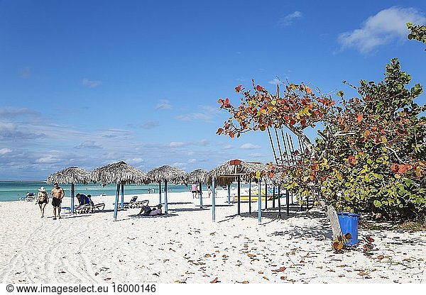 The Flamenco Beach on the Cayo Coco island. Jardines del Rey archipelago  Cuba.