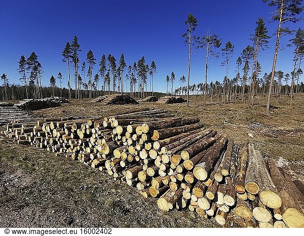 The forest is gone. Swedish forestry. Photo: Andr? Maslennikov.