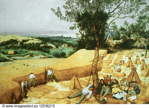 The Harvesters  1565. Artist: Pieter Bruegel the Elder
