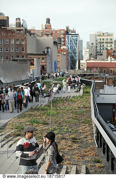 The High Line Park in New York City