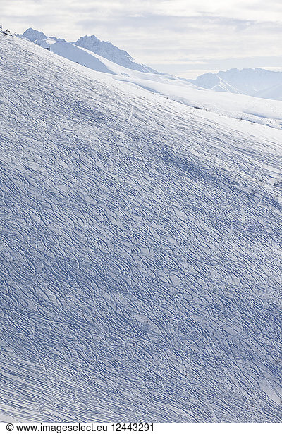 The Hillside Of The Arctic Valley Ski Area Covered With Ski Tracks  Southcentral Alaska  Winter