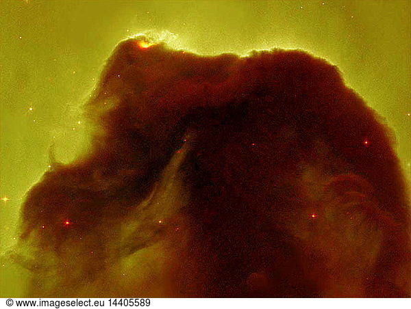 The Horsehead  also known as Barnard 33  is a cold  dark cloud of gas and dust  silhouetted against the bright nebula  IC 434. The bright area at the top left edge is a young star still embedded in its nursery of gas and dust. But radiation from this hot star is eroding the stellar nursery. The top of the nebula also is being sculpted by radiation from a massive star located out of Hubble"s field of view. Located in the constellation Orion. Hubble Space Telescope (HST).