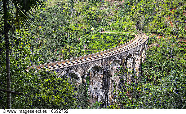the iconic Nine Arch Bridge in Ella / Sri Lanka
