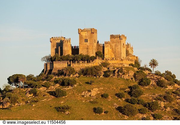 The impressive eighth-century castle of Almodovar del Rio perches high above the Guadalquivir river valley. In the last light of the evening. Cordoba province  Andalusia  Spain.