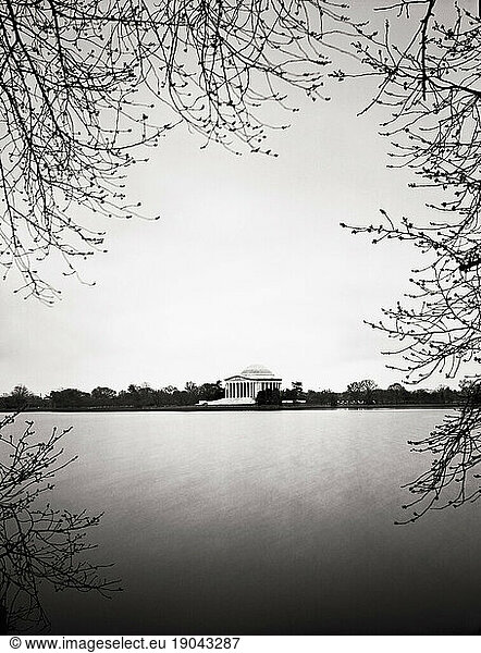 The Jefferson Memorial with branches around the edges of the frame.