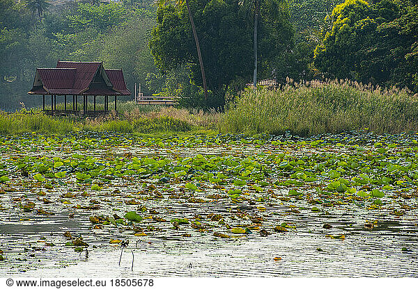 the lagoon at Kaeng Krachan Dam