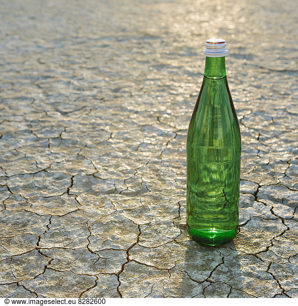 The Landscape Of The Black Rock Desert In Nevada. A Bottle Of Water. Filtered Mineral Water.