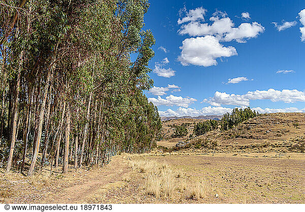 The landscape of the Urubamba province  view of the mountain range and hillside covered in trees.