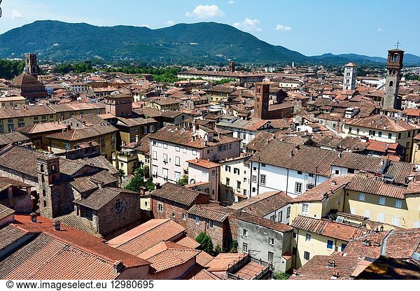 The medieval town of Lucca seen from the viewpoint on the top of Guinigi Tower. Lucca,  Province of Lucca,  Tuscany,  Italy,  Europe.