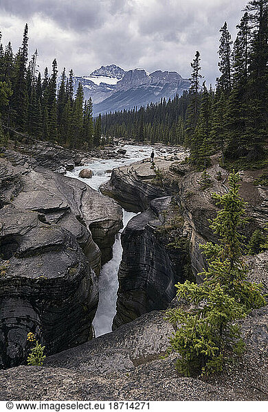 The Mistaya River flows through Mistaya Canyon in Banff National Park  Alberta Canada