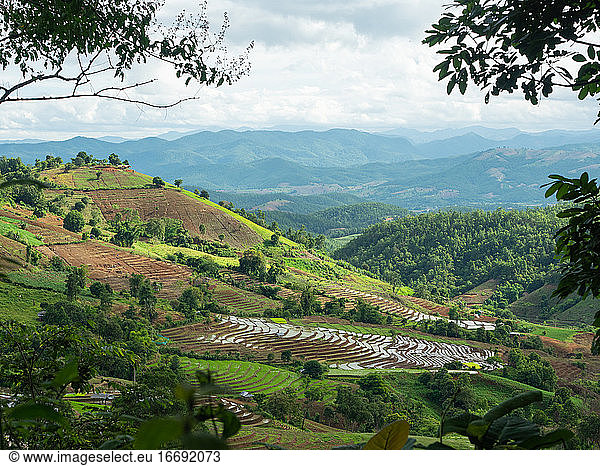 The mountain view with rice terraces