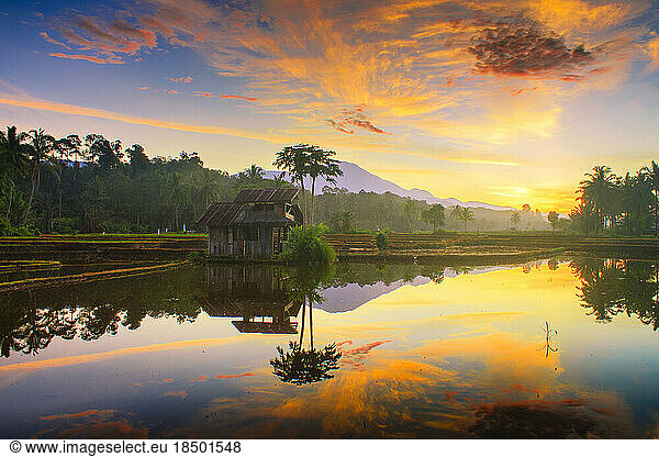the natural beauty of Indonesia  the morning atmosphere in the village