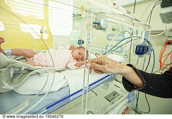 The new born Marie-Lou
