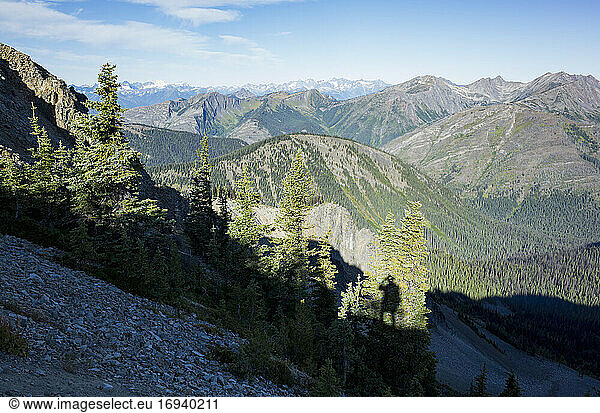 The North Cascade Range  view from the Pacific Crest Trail