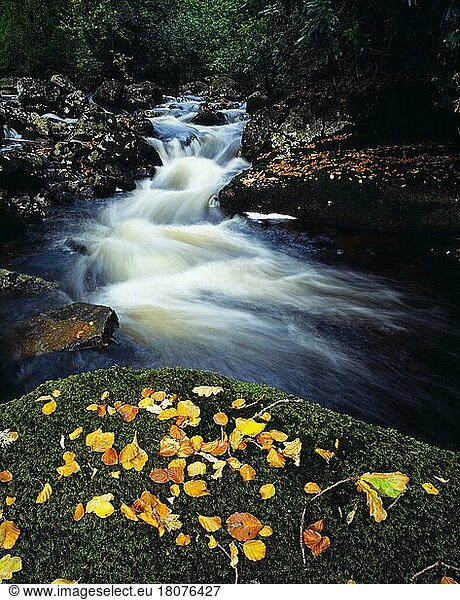 The River Avon in Dartmoor National Park near Didworthly  Devon  England  United Kingdom  Europe