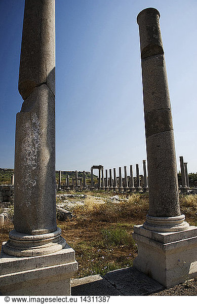 The ruins of the Agora  Perge  Turkey  Europe
