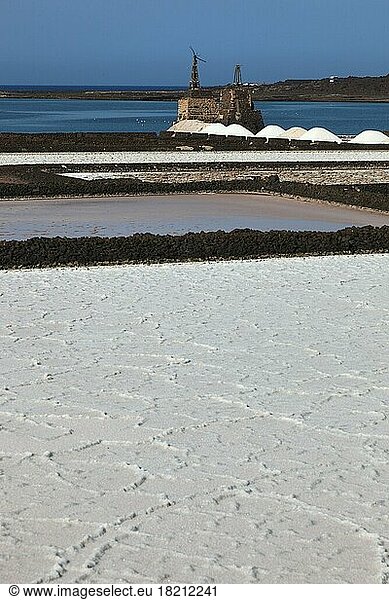 The Salinas de Janubio  largest salt extraction plant in the Canary Islands Near Yaiza  Lanzarote  Spain  Europe