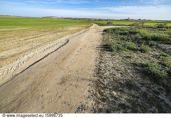The sandboxes path betwwen fiels in Pinto. Madrid. Spain. Europe.