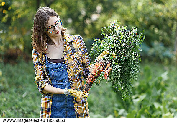The satisfied farmer girl holding big carrot on green farm at sunset
