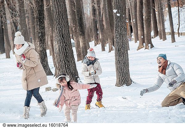 The snow snowball fights the happiness of family