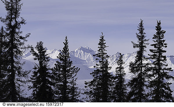 The snowy mountain ranges of Denali National Park in the winter  Alaska  United States of America  North America
