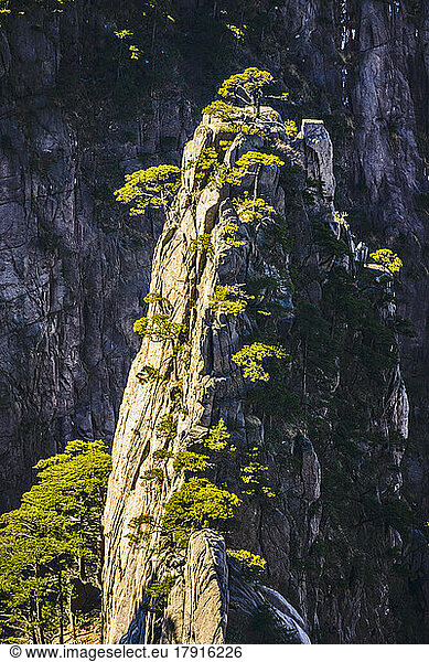 The steep jagged granite peaks of the Huangshan Mountains  the Yellow Mountains.