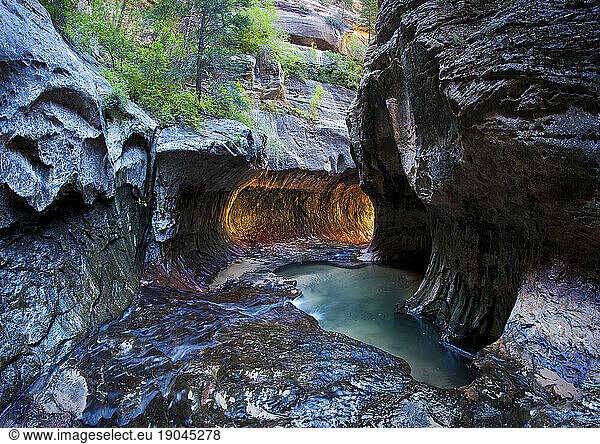 The 'Subway' is a canyon in Zion National Park  Utah that is located in the Left Fork of North Creek.