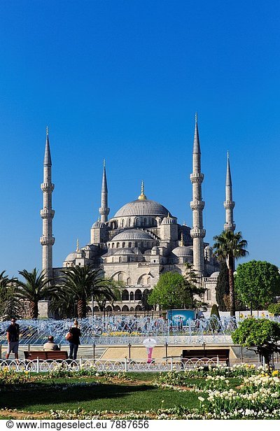 masjid biru turki
