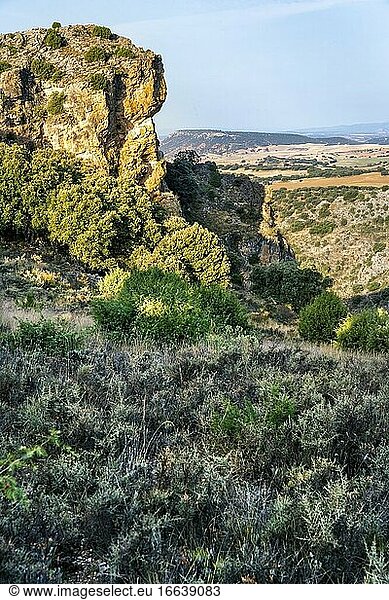 The Sweet River canyon  early in the morning. Guadalajara. Spain. Europe.