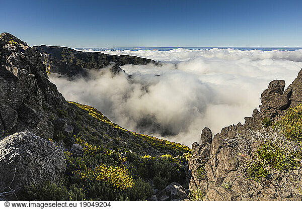 The top of Madeira