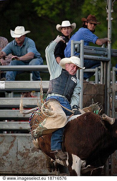 The tough & dark side of Rodeo Cowboys: A rider and bull explode from the chutes at a small arena