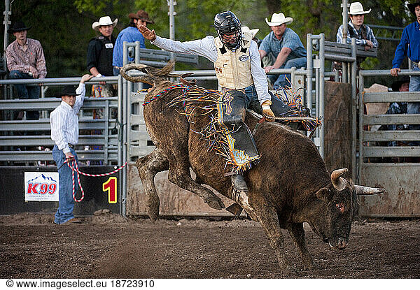 The tough & dark side of Rodeo Cowboys: A rider and bull explode from the chutes at a small arena