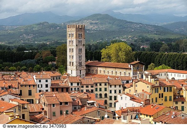 The tower of the Basilica di San Frediano rises above the mediaeval city of Lucca  Tuscany  Italy
